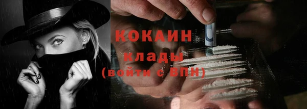 хмурый Белокуриха